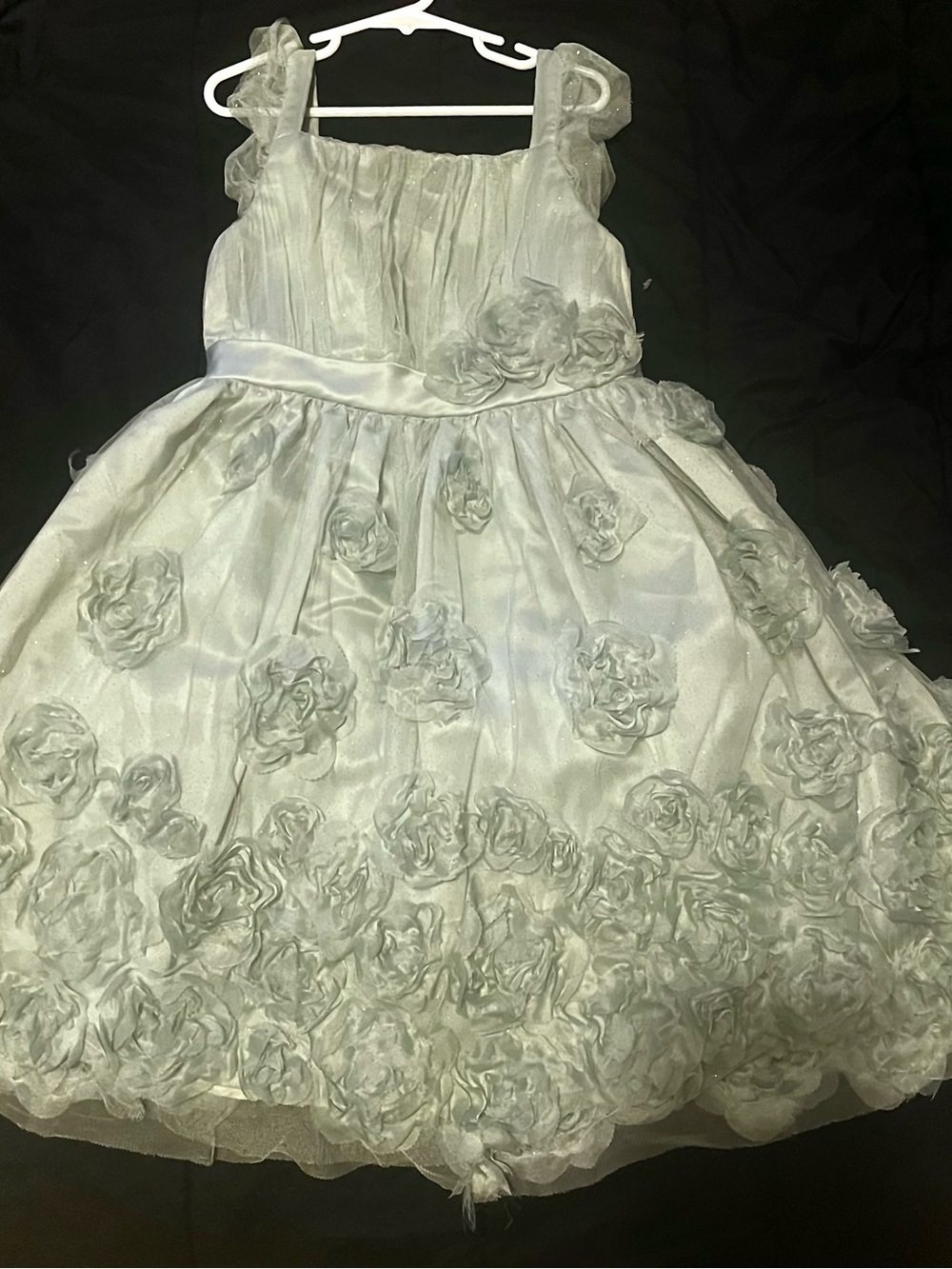Nannette Light Silver Rose Applique Party Dress